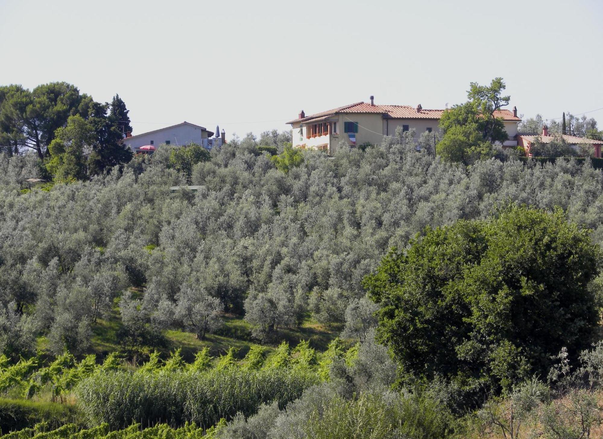 Agriturismo Podere Zollaio ヴィンチ 部屋 写真