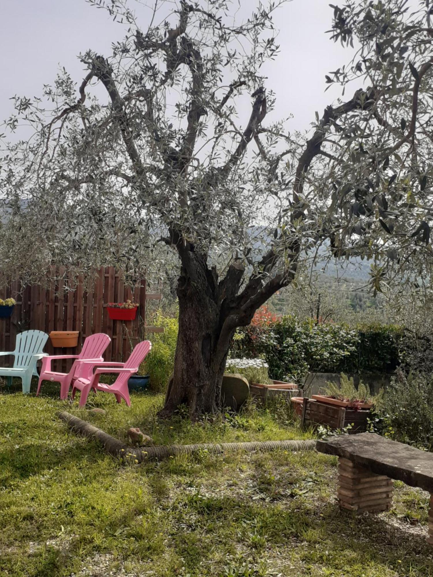 Agriturismo Podere Zollaio ヴィンチ エクステリア 写真